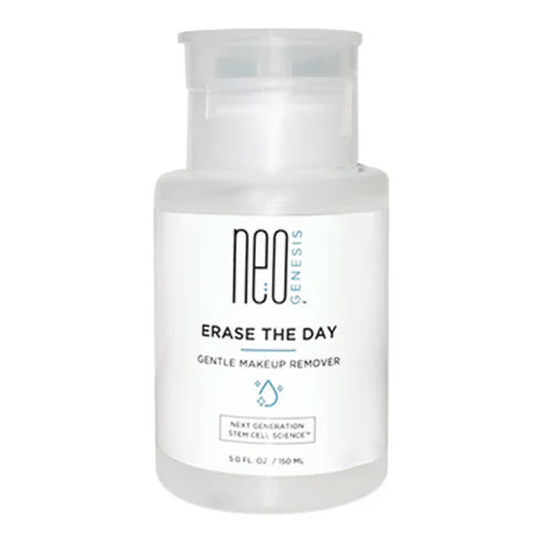 NeoGenesis Erase The Day